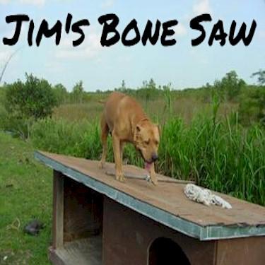 media/Jims Bone Saw Pit Bull.jpg
